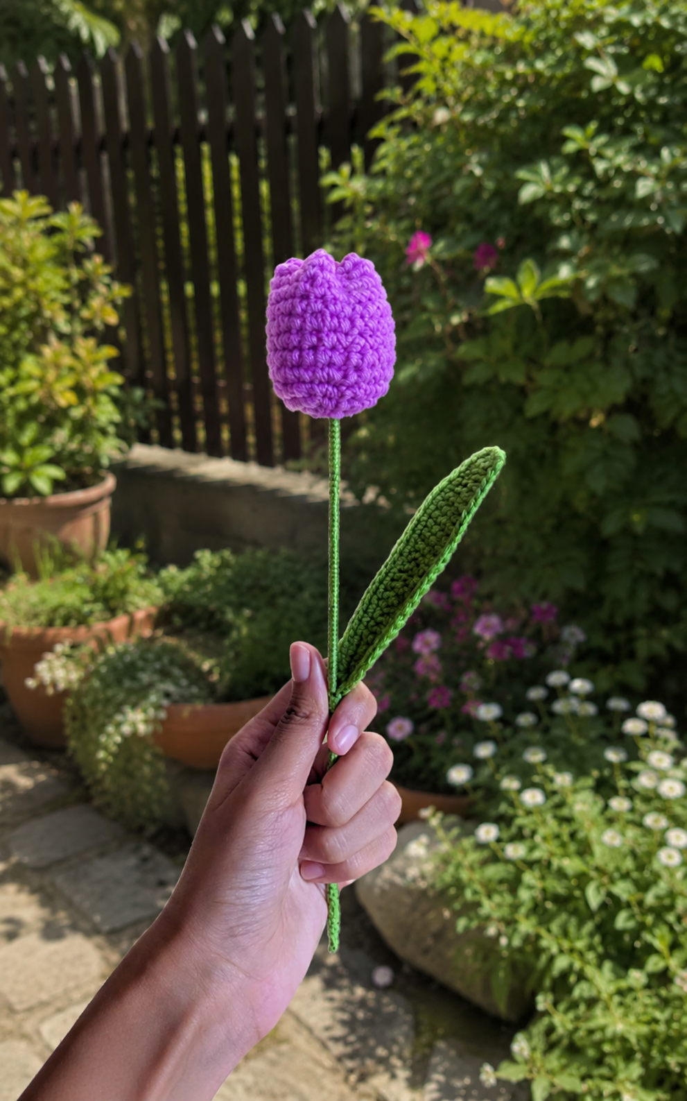 Tulip Flower